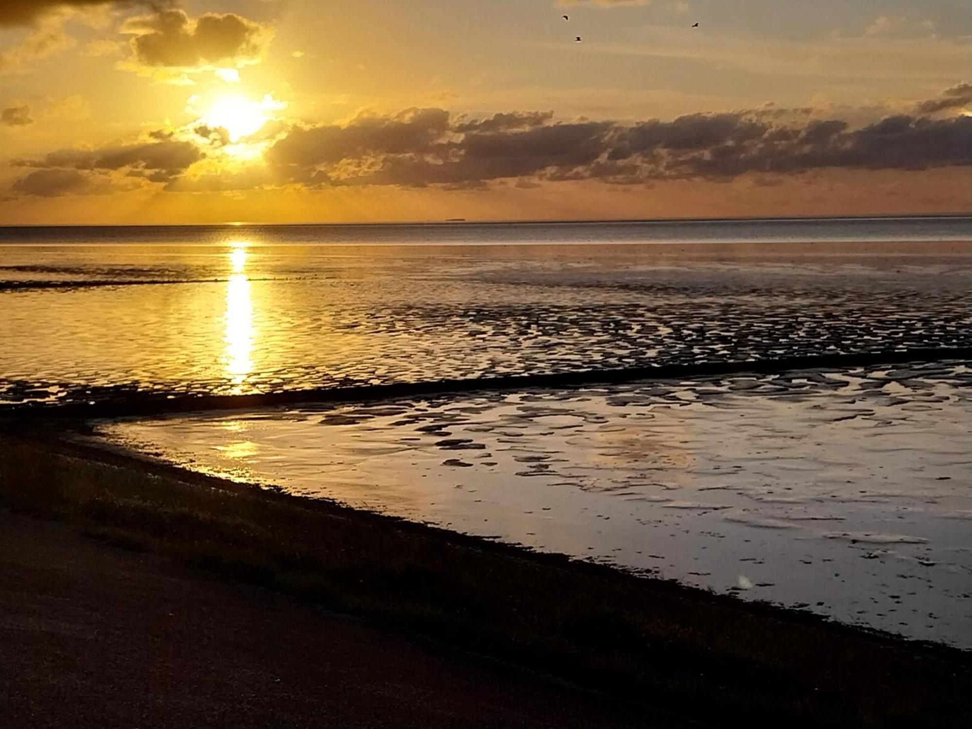 Vila Wad Fijn Sexbierum Exteriér fotografie