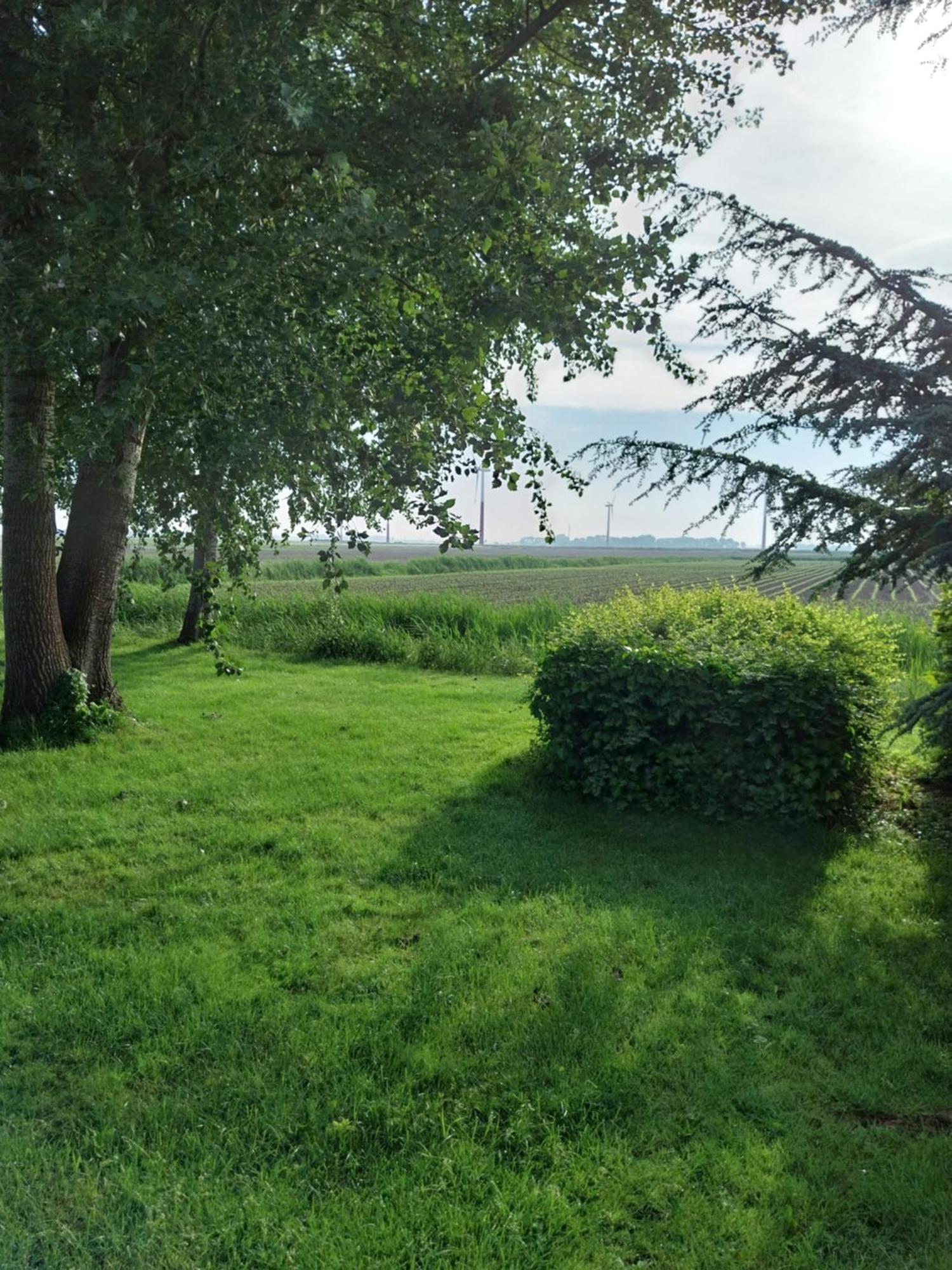 Vila Wad Fijn Sexbierum Exteriér fotografie
